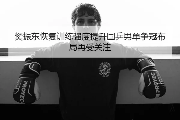 樊振东恢复训练强度提升国乒男单争冠布局再受关注 - KaiyunSports